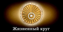 Жизненный круг